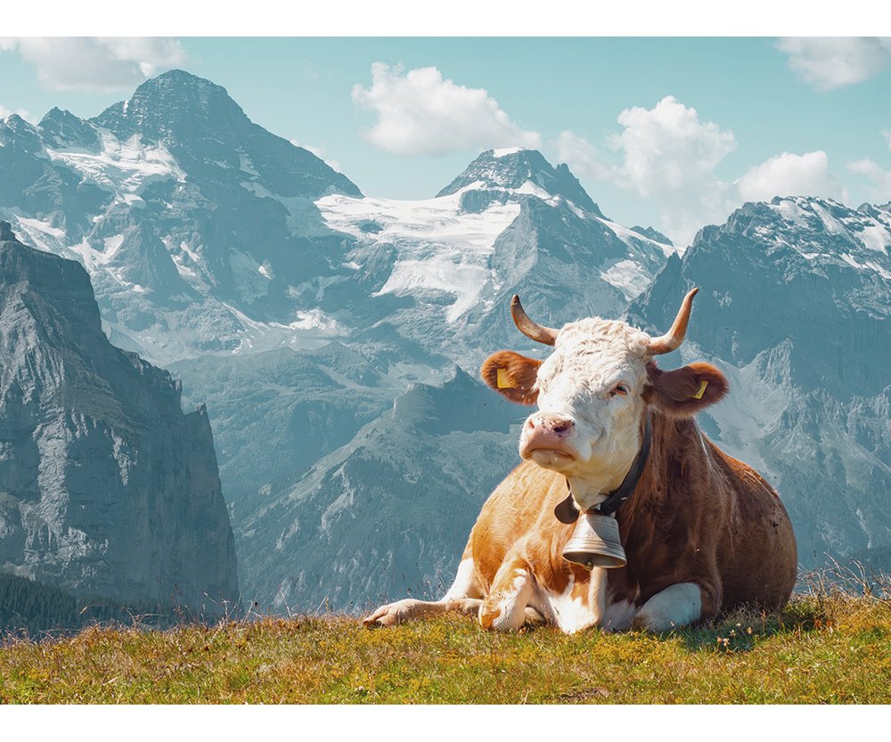 Schweizer Franken in Euro - Aktueller Kurs CHF/EUR • Wechselkurs • onvista